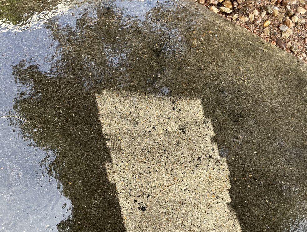 Image of a wet concrete patio showing the difference between a power washed surface and a dirty surface.